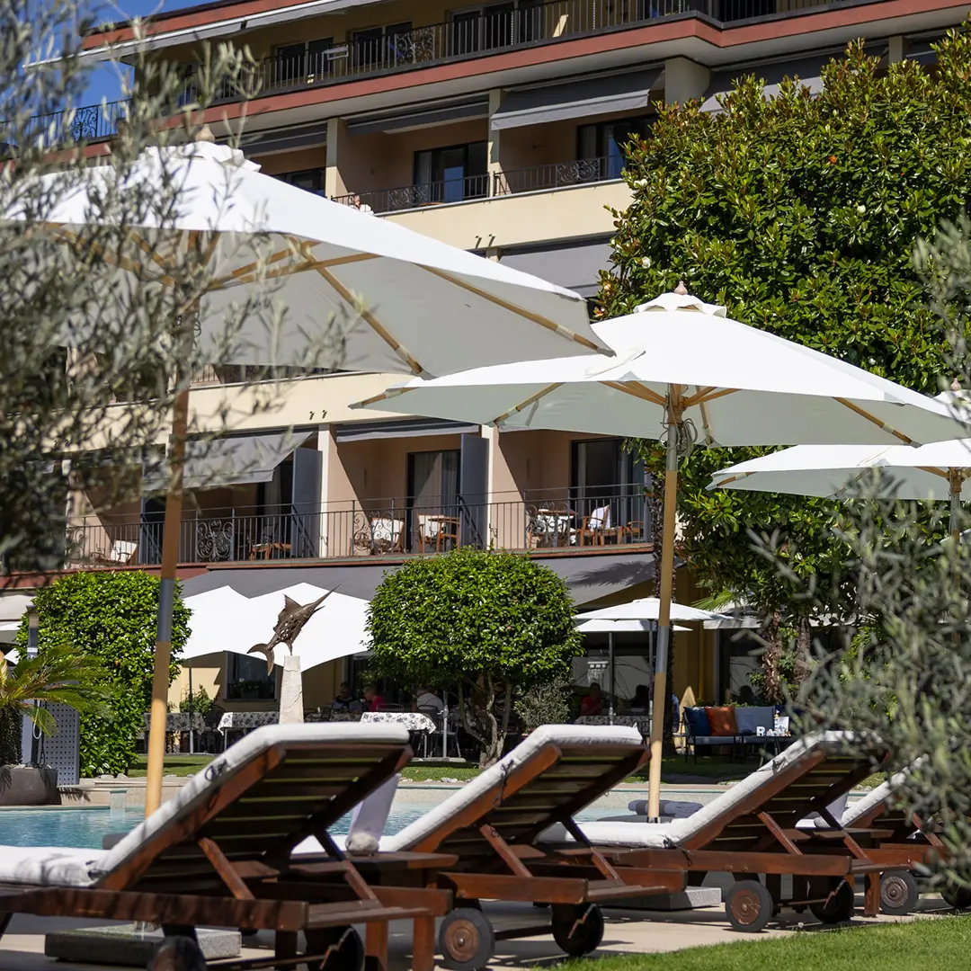 2.-Olivo-piscina.jpg